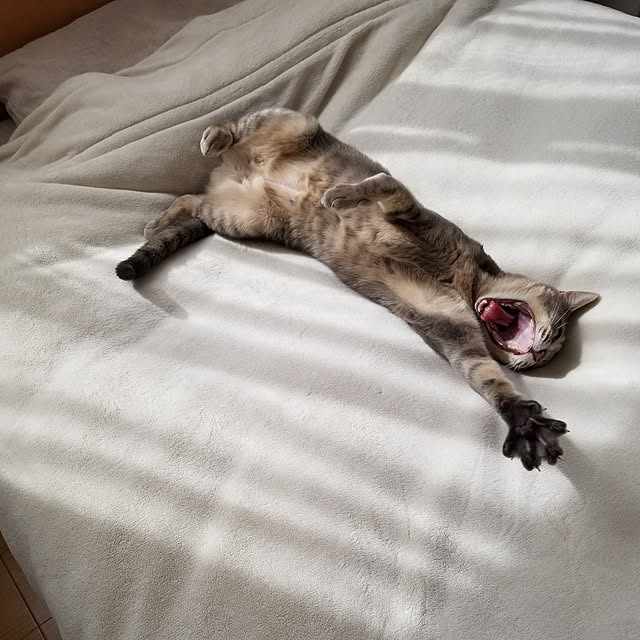 yukiさんの実例写真