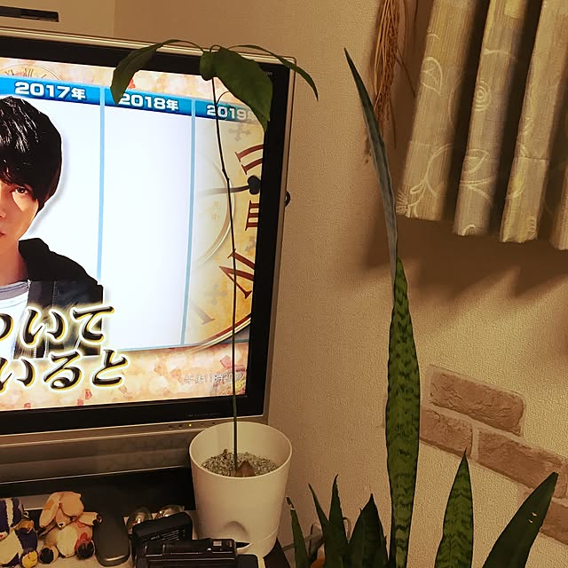cometsさんの実例写真