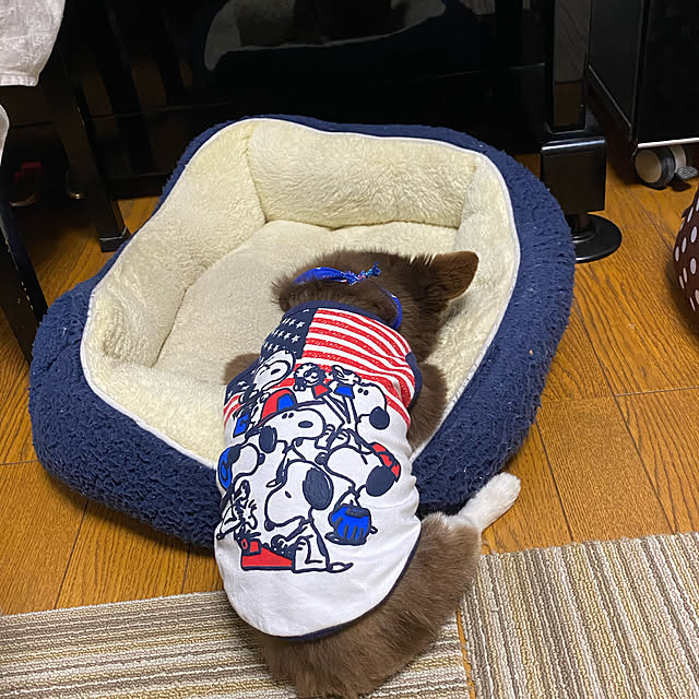 chIoeさんの実例写真