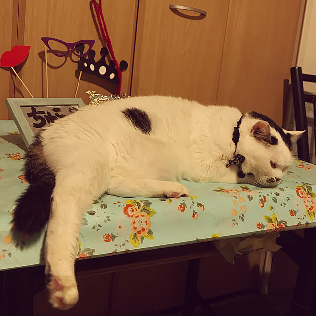 Satokoさんの実例写真