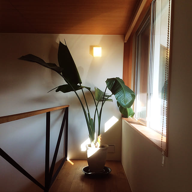t.take28さんの実例写真