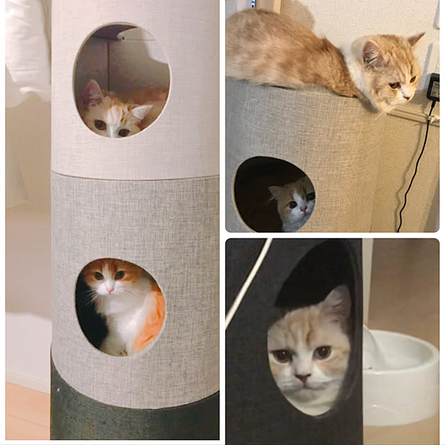 H.Tさんの実例写真