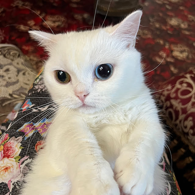 AYUKOさんの部屋