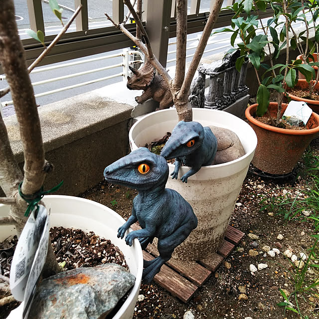 futukoさんの実例写真