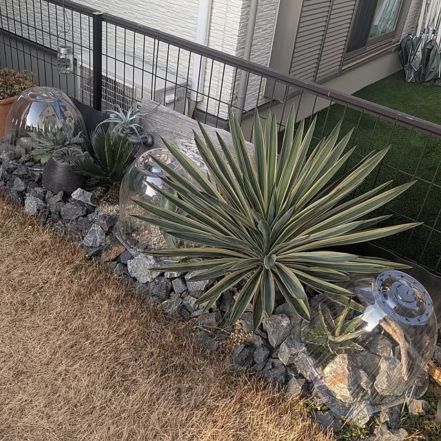 nippopoさんの部屋