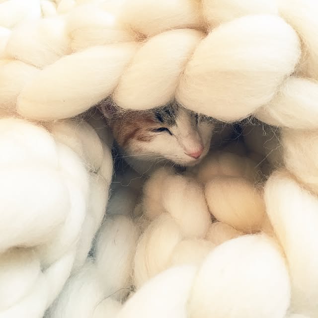 koumeさんの実例写真