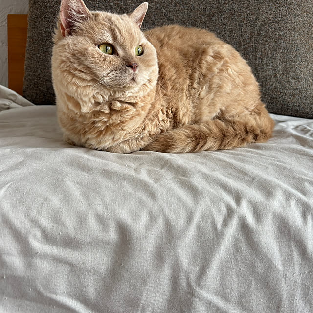naokoさんの部屋