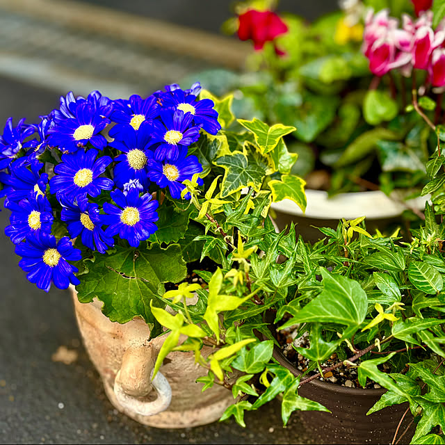 tututu0204さんの部屋