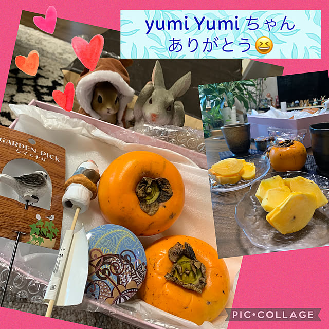 Aqettyさんの実例写真