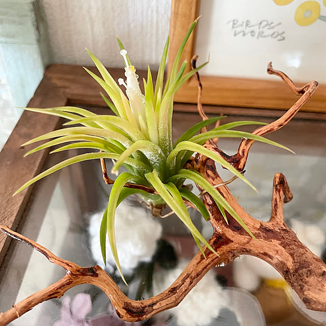honpoさんの部屋
