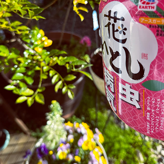 chacoさんの部屋