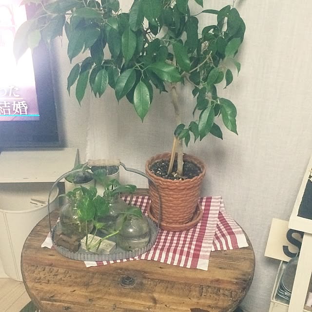 tomoyyyさんの実例写真