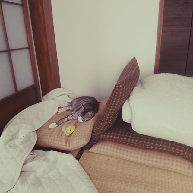 Mikaさんの実例写真