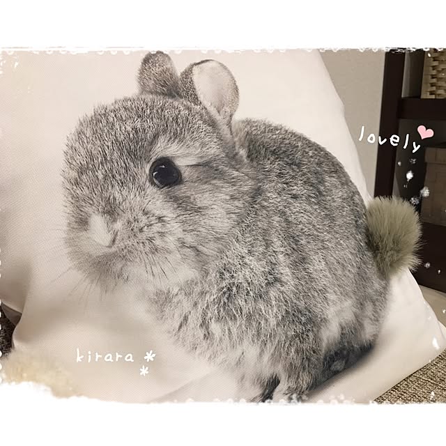 kiraraさんの実例写真
