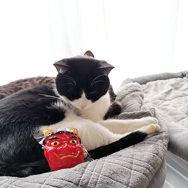 hihaさんの実例写真