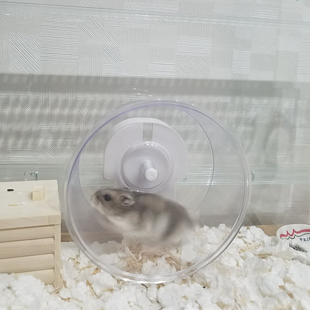 BAZさんの実例写真