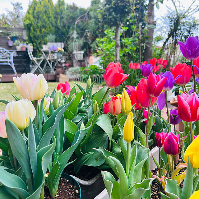 sunabaさんの部屋