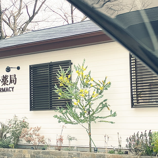 koshiregutyoさんの実例写真
