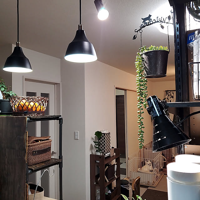 korokoroさんの実例写真