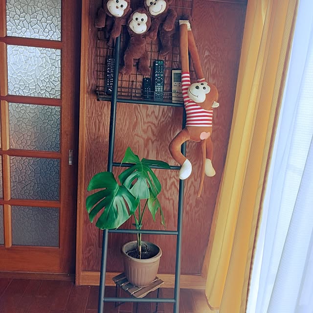 dreamerさんの実例写真