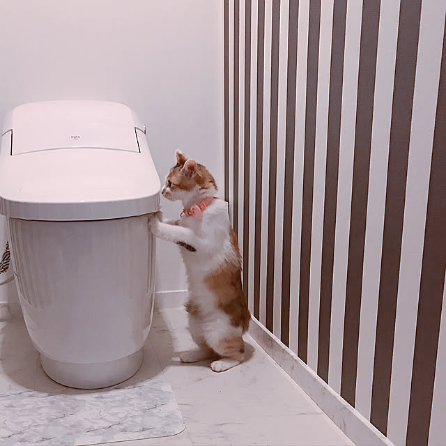mya___kさんの実例写真