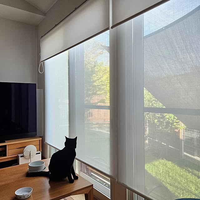 koyurizuさんの実例写真