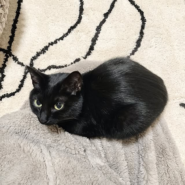 sakuraさんの部屋