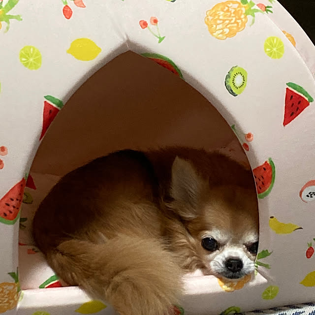 koroさんの部屋