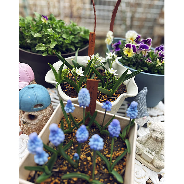 CoCo0617さんの実例写真