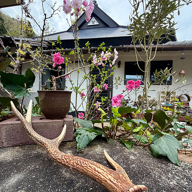 cotaさんの実例写真