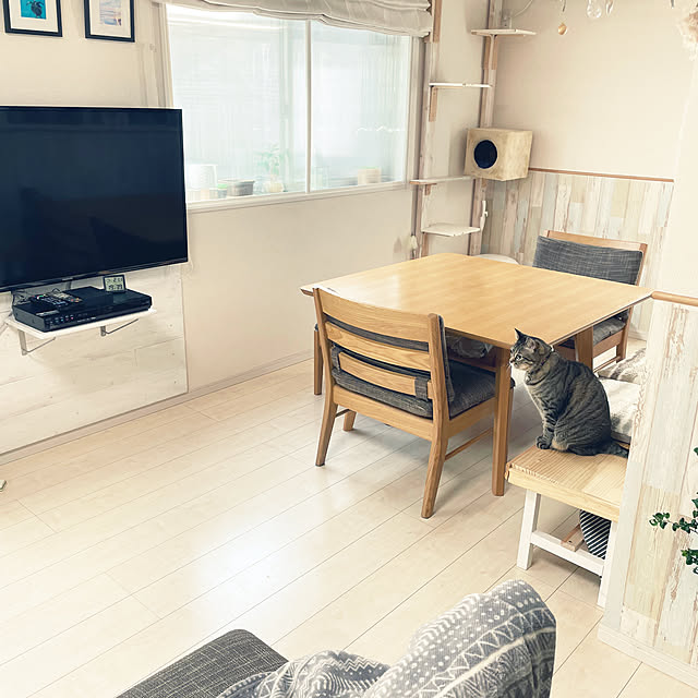 t-famさんの部屋