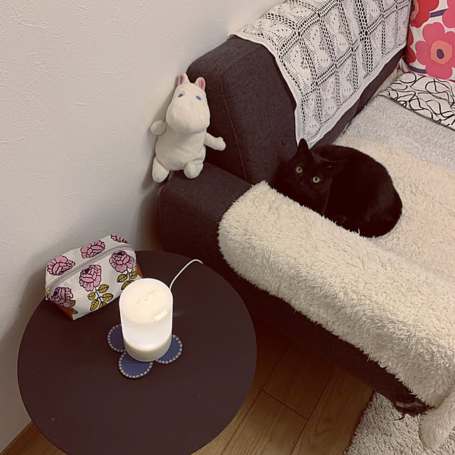 momoさんの実例写真