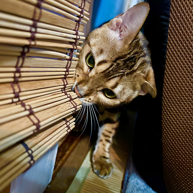 tututu0204さんの部屋