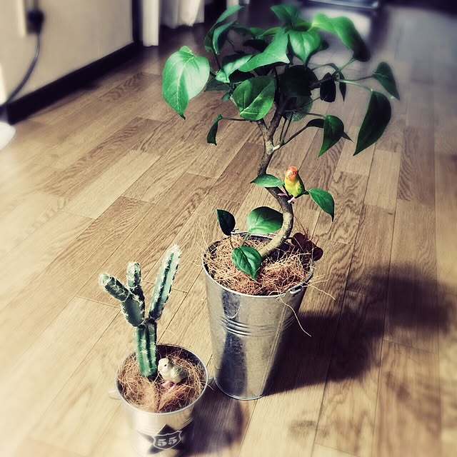 Aachanさんの実例写真