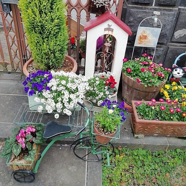 haruiroさんの部屋