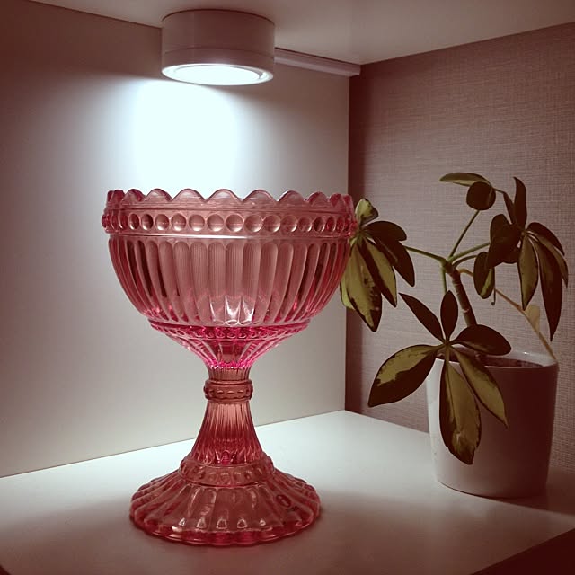 noon88さんの実例写真