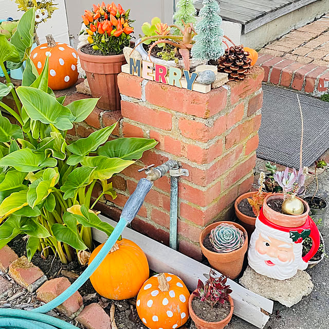 MUSHroomさんの実例写真