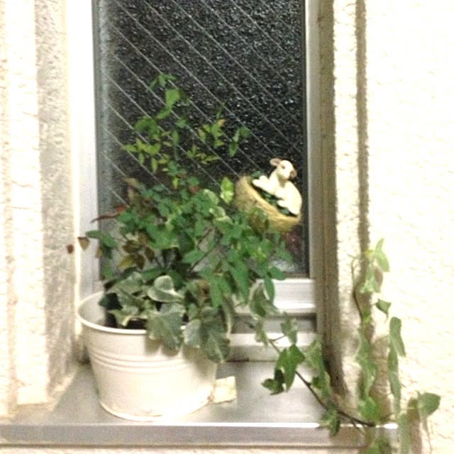 Wakakoさんの実例写真