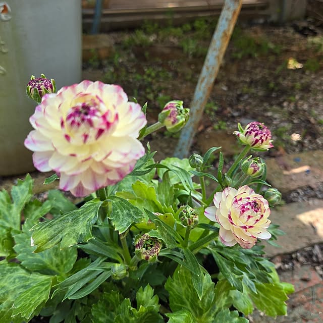 min_nimさんの部屋