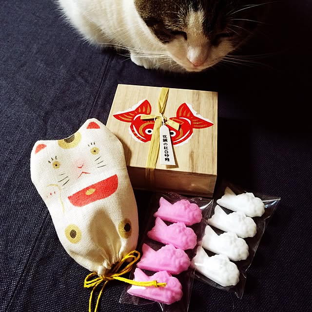 tigerさんの実例写真