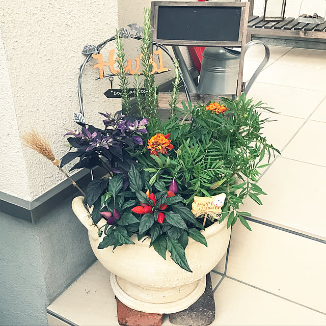 home.kさんの実例写真