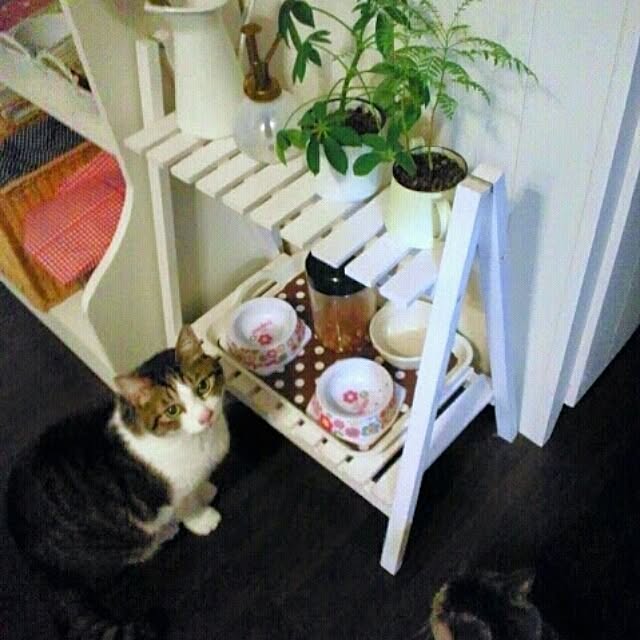 naopunさんの実例写真