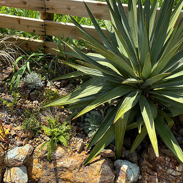 bonber0212さんの実例写真