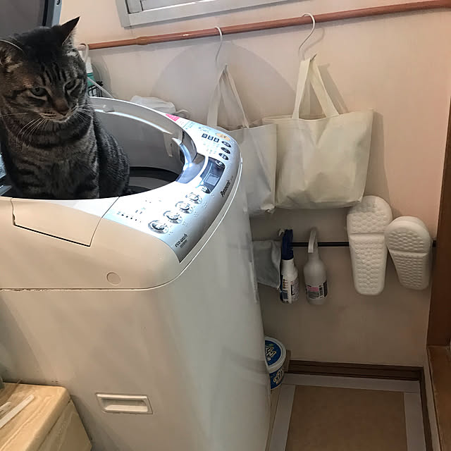 ako_a_kikoさんの実例写真