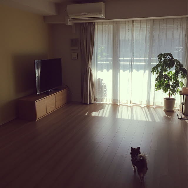 iwamayuさんの実例写真