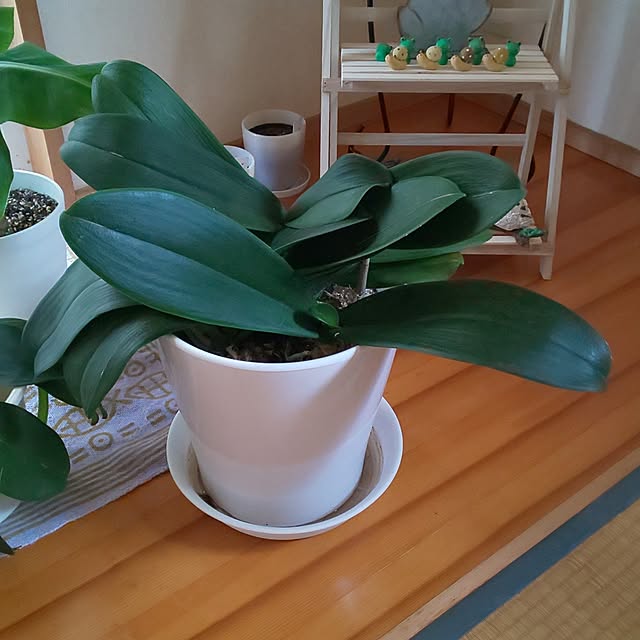 yumiyumiさんの部屋