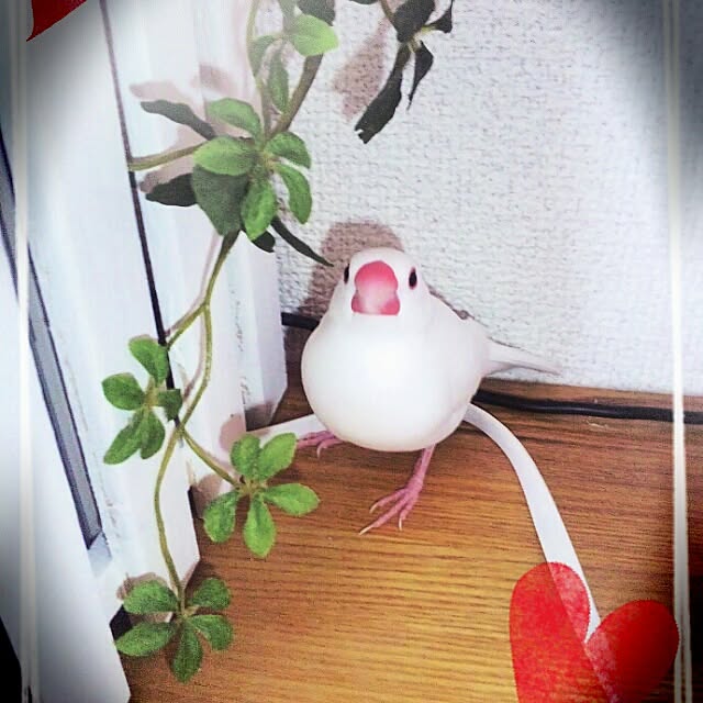 sumoさんの実例写真