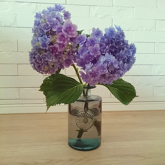 棚/花のある暮らし/花のある生活/ロールスクリーン デュオレ/シンプルに暮らしたい...などのインテリア実例 - 2017-06-22 15:19:13