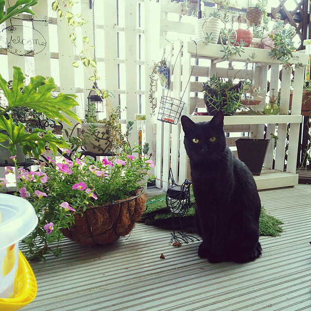 mcomcoさんの実例写真