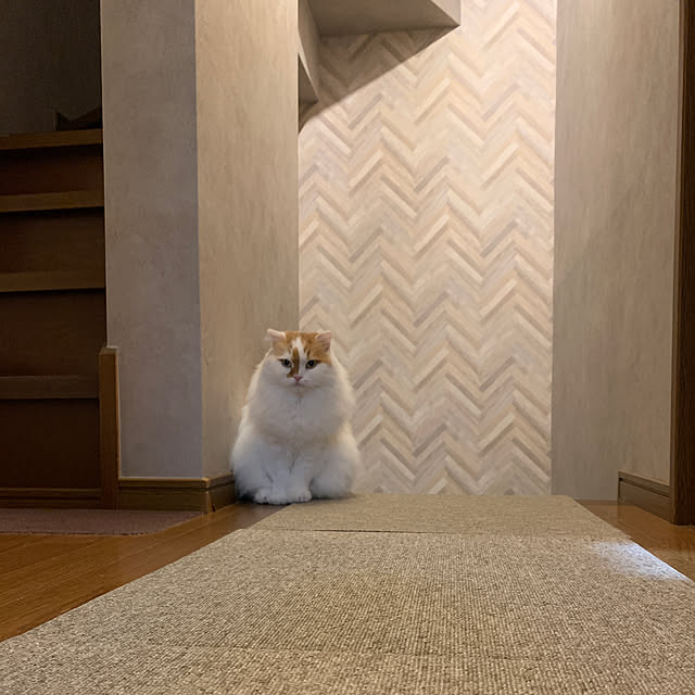 keiさんの実例写真